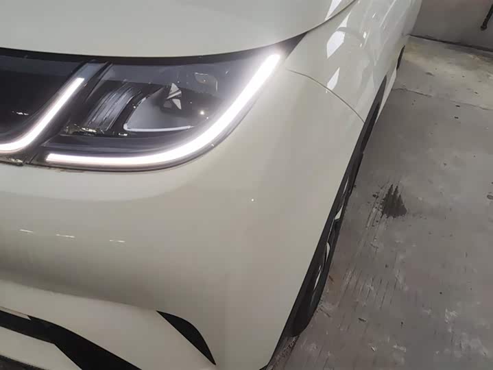 Фото 5 - BYD Dolphin