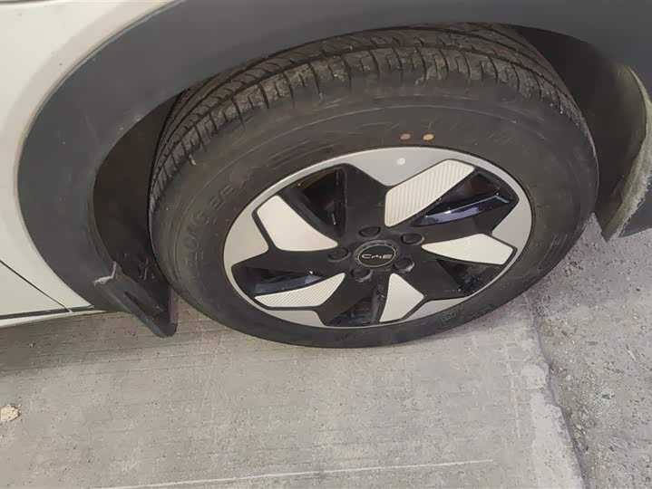 Фото 6 - BYD Dolphin