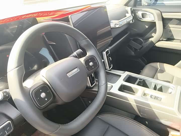 Фото 5 - Haval Dargo