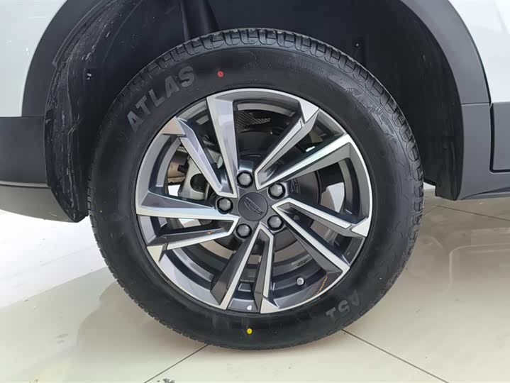 Фото 6 - Geely Coolray