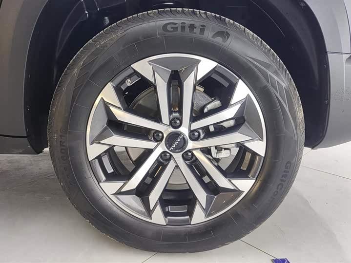 Фото 6 - Haval Dargo