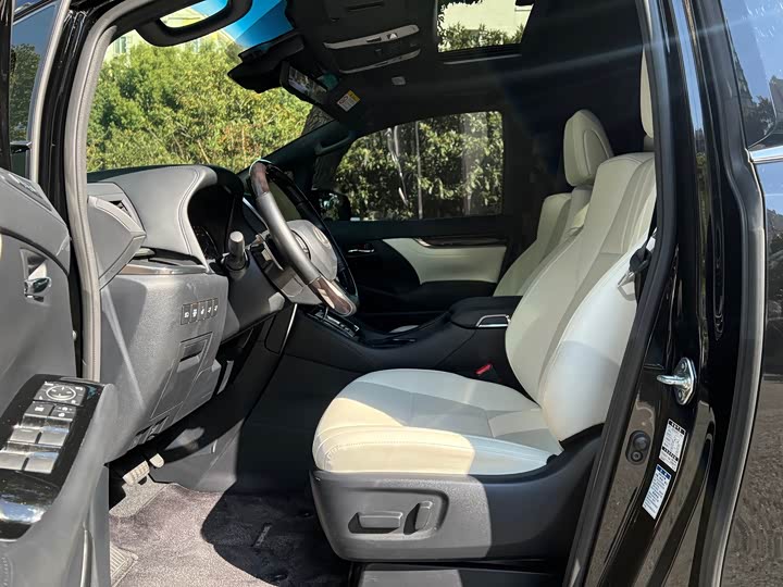 Фото 5 - Lexus LM