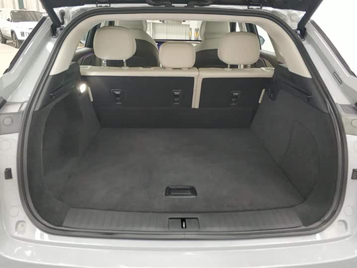 Photo 4 - Exeed RX C-DM Hybrid