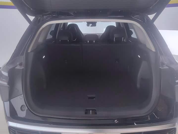 Фото 4 - Hongqi HS3 Hybrid