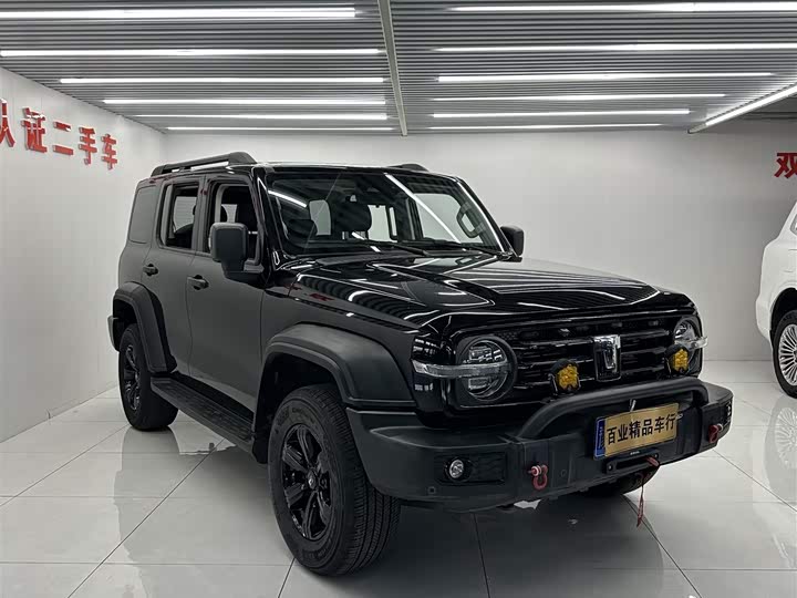 Фото 2 - Tank 300