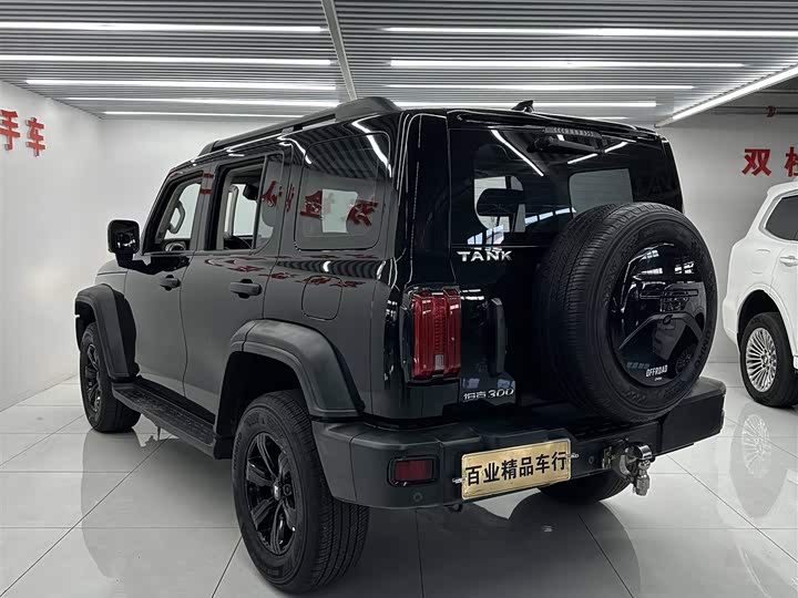 Фото 6 - Tank 300