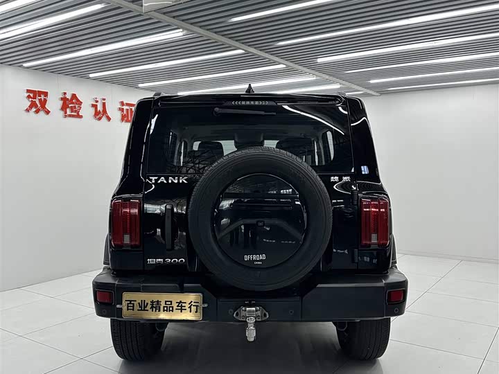 Фото 8 - Tank 300