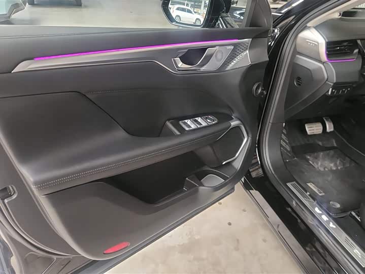 Photo 7 - Wey Mocca Hybrid