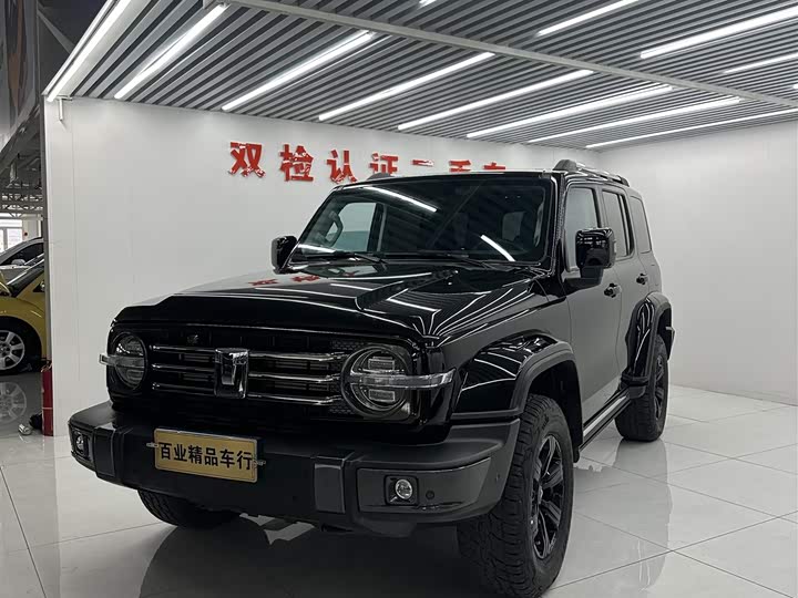 Фото 1 - Tank 300