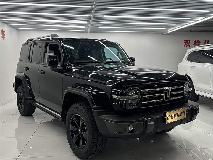 Фото 2 - Tank 300