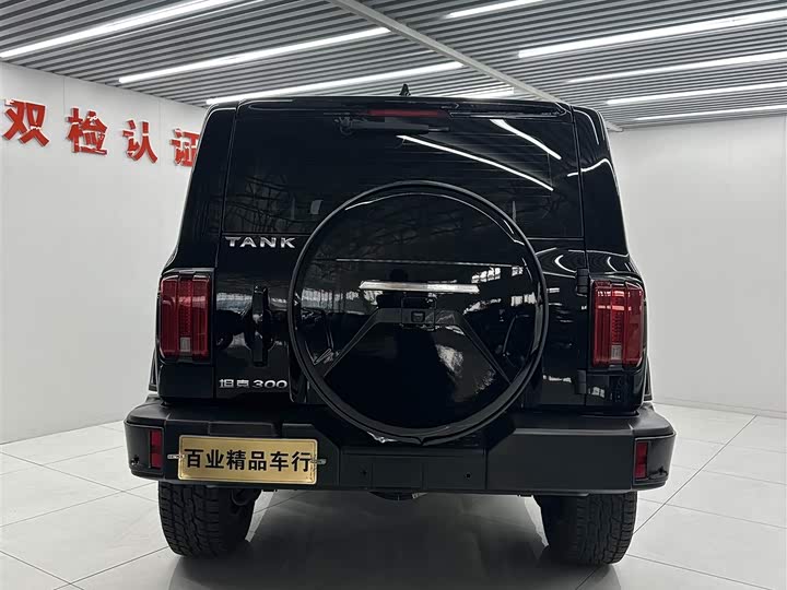 Фото 3 - Tank 300