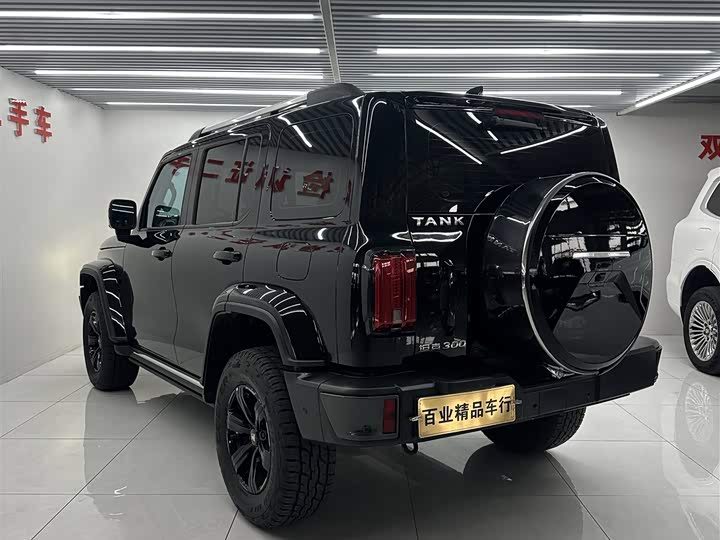 Фото 4 - Tank 300