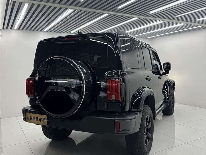 Фото 5 - Tank 300