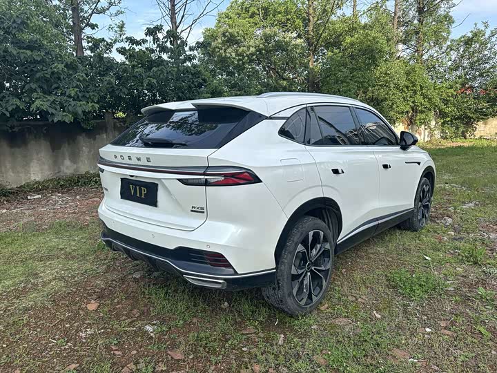 Фото 4 - Roewe RX5