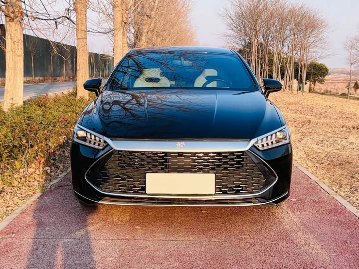 Фото 2 - BYD Qin Plus