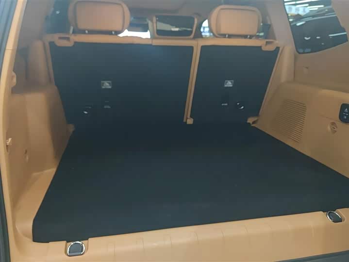 Фото 4 - Tank 500 Hybrid