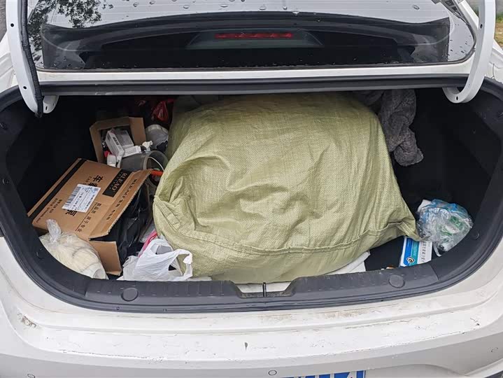 Photo 4 - Changan Eado Plus