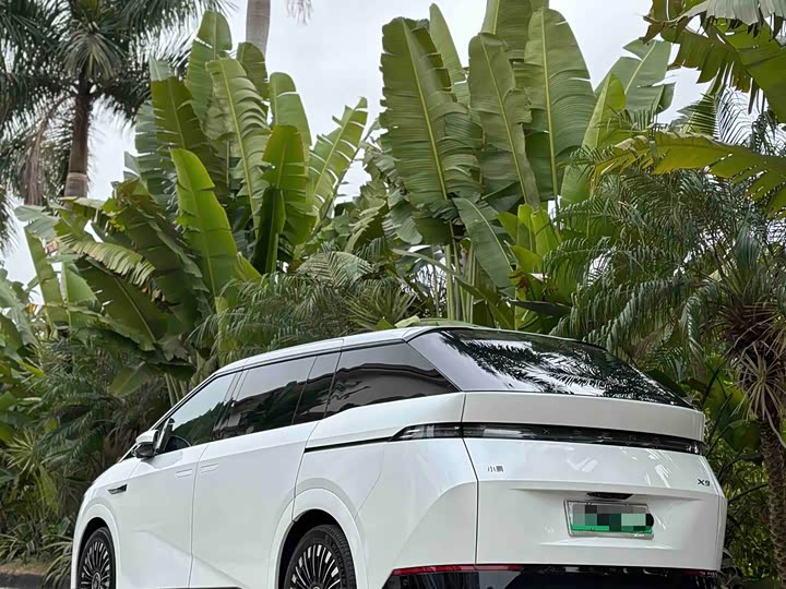 Фото 8 - XPeng X9