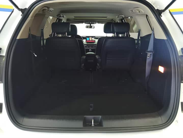 Фото 4 - BYD Song Max