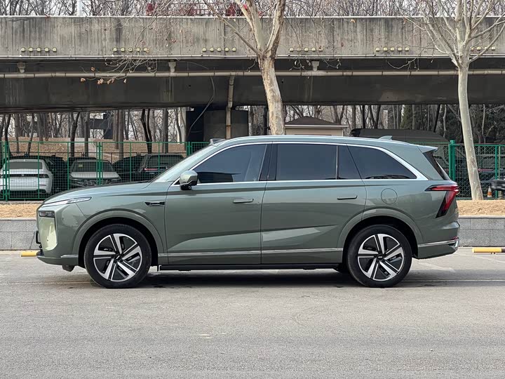 Фото 3 - Wey Lanshan