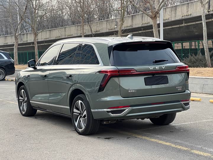 Фото 8 - Wey Lanshan