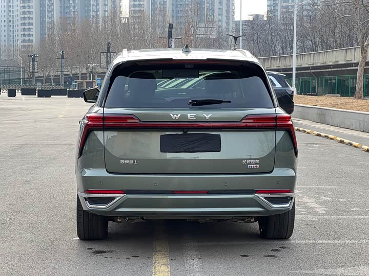 Фото 9 - Wey Lanshan