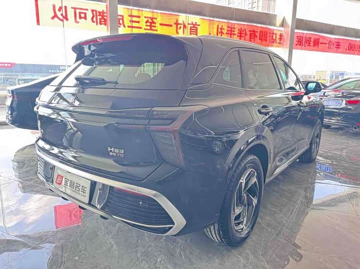 Photo 3 - Hongqi HS3