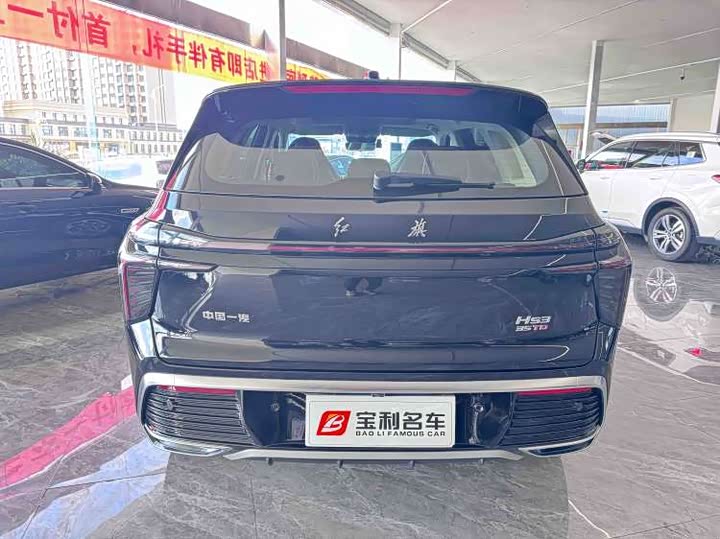 Photo 5 - Hongqi HS3