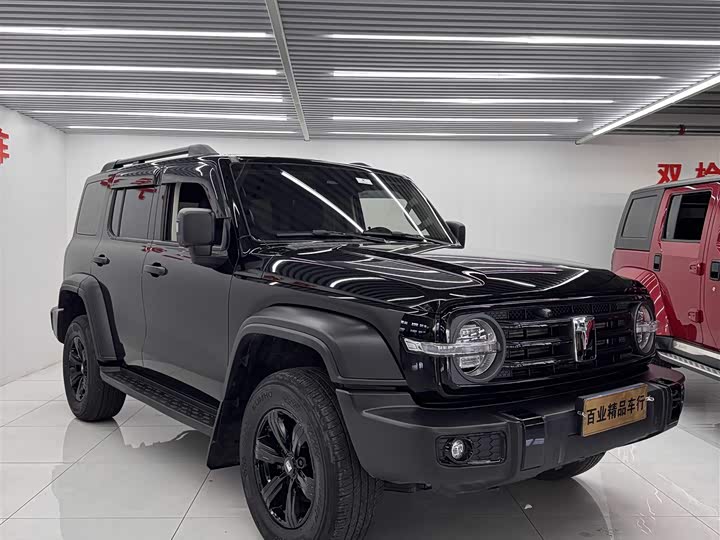 Фото 2 - Tank 300