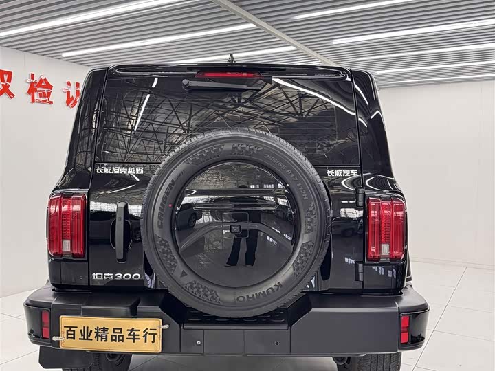 Фото 6 - Tank 300