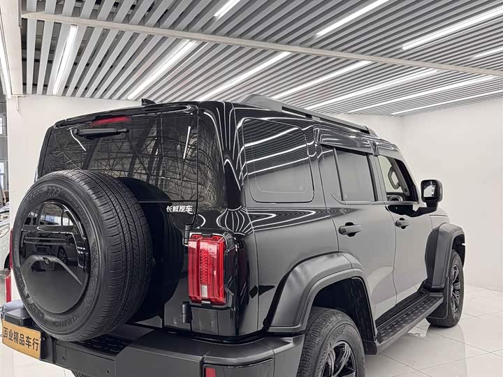 Фото 7 - Tank 300