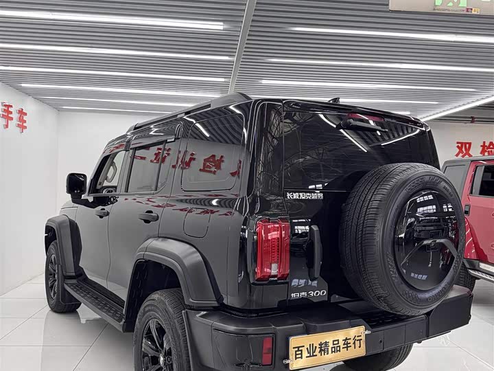 Фото 8 - Tank 300