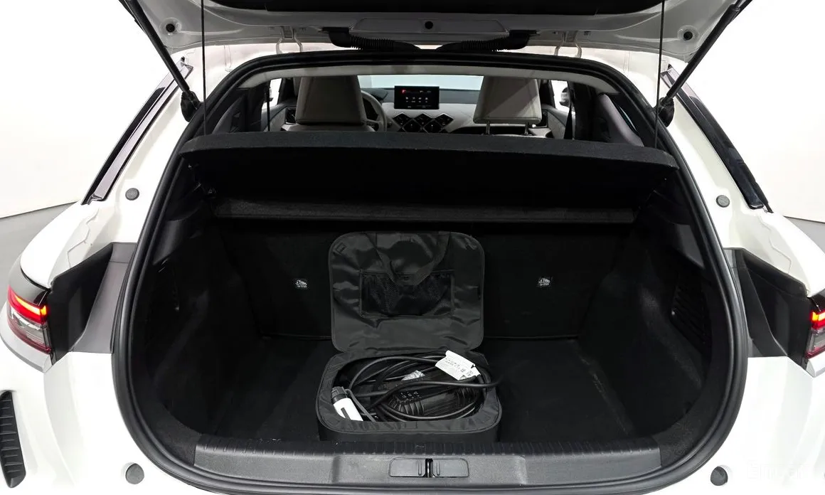 Фото 20 - Citroen DS3