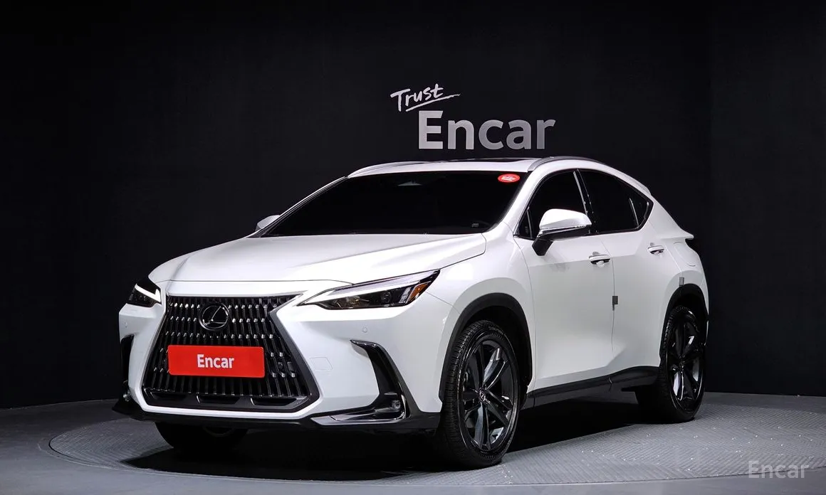 Фото 1 - Lexus NX