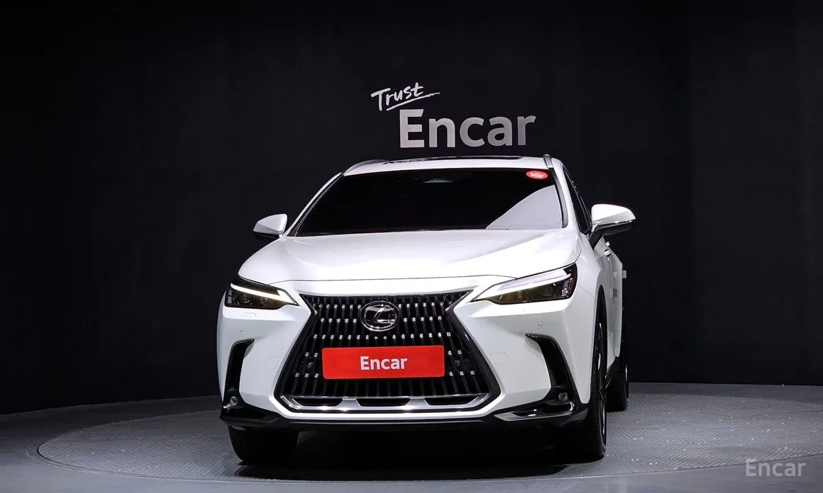 Фото 3 - Lexus NX