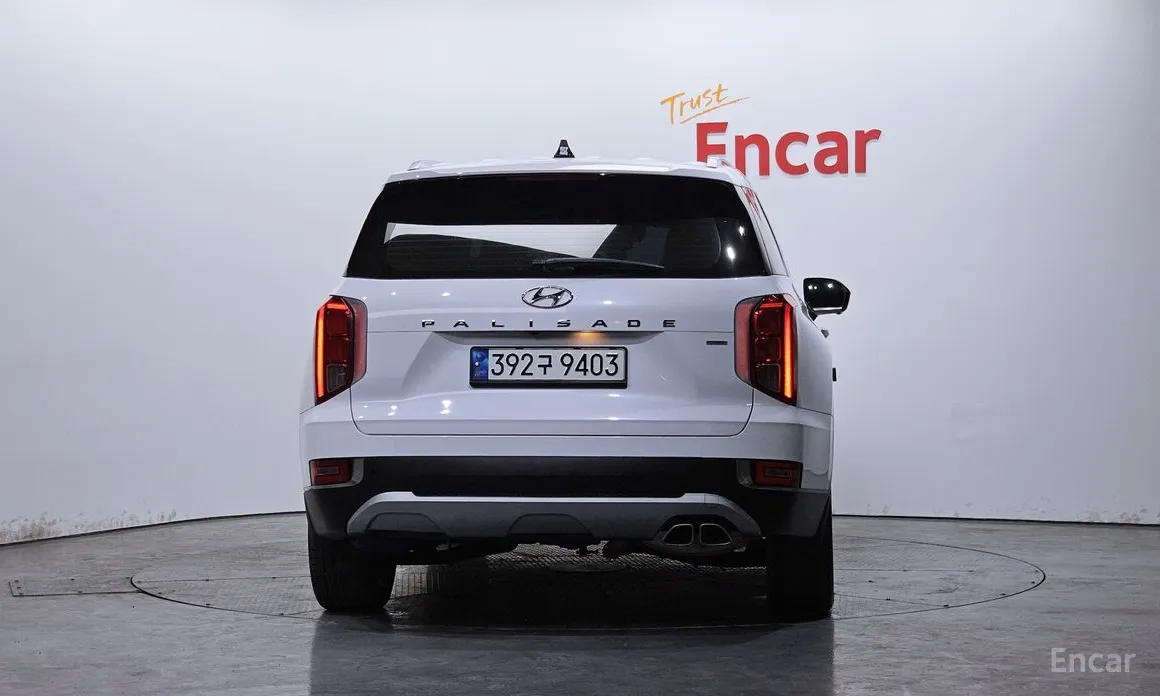 Фото 4 - Hyundai Palisade