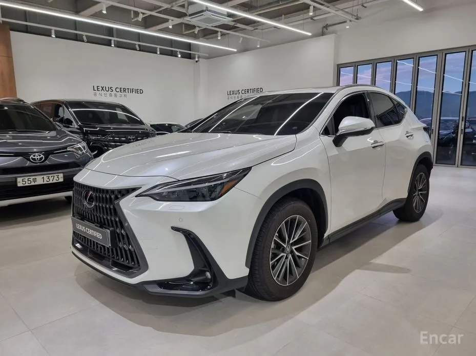 Фото 1 - Lexus NX