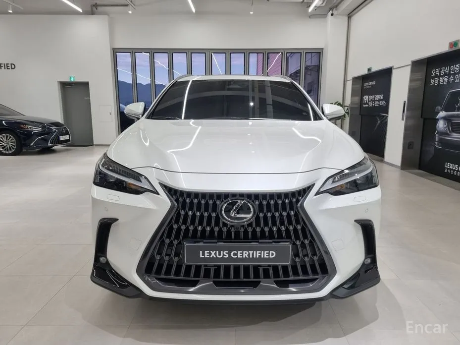 Фото 3 - Lexus NX