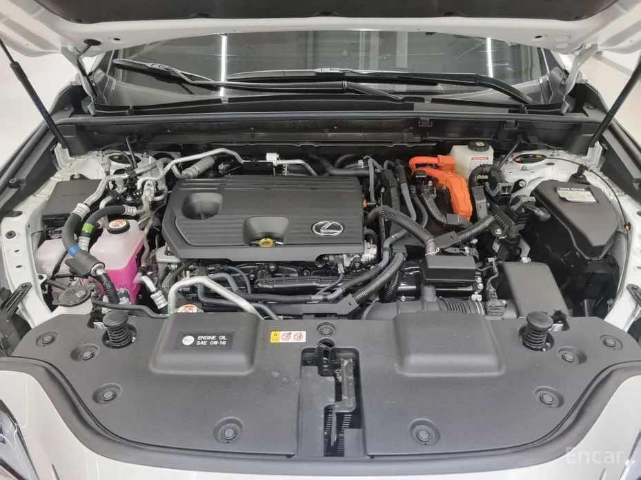 Фото 6 - Lexus NX