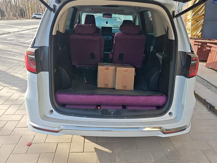 Фото 4 - Honda Elysion