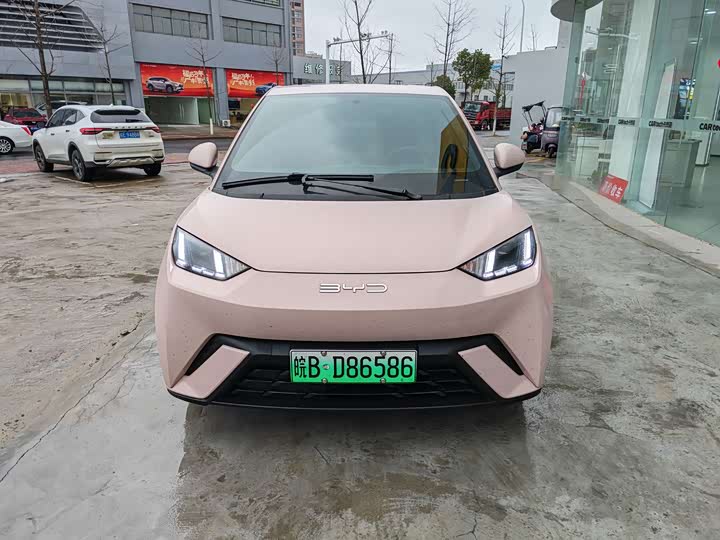 Фото 2 - BYD Seagull