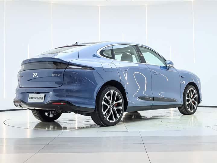 Фото 5 - IM motors LS6