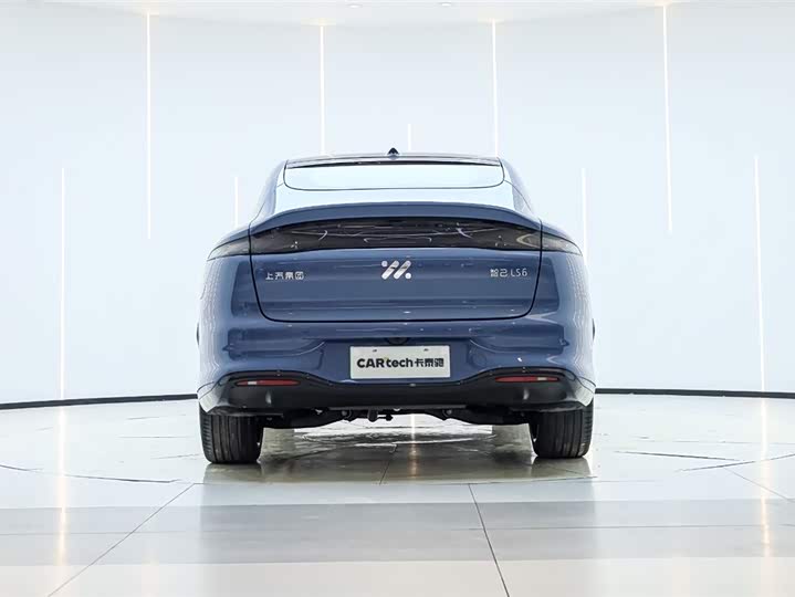 Фото 6 - IM motors LS6