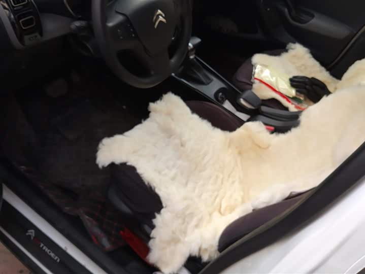 Фото 9 - Citroen C3-XR