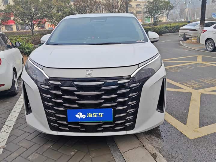 Фото 2 - BYD Xia