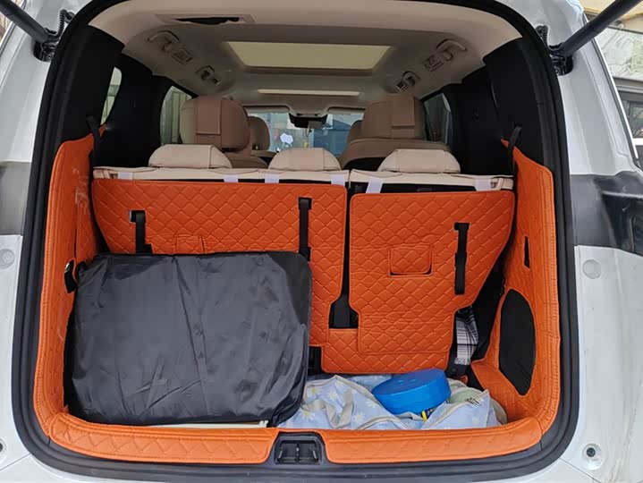 Фото 4 - BYD Xia