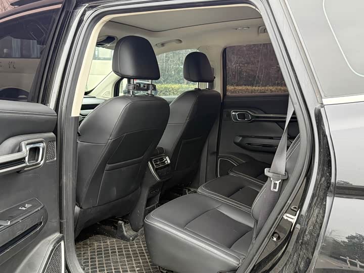 Фото 5 - Geely Okavango