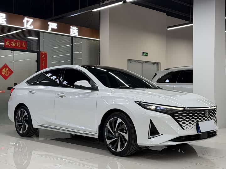 Фото 3 - Changan Raeton Plus