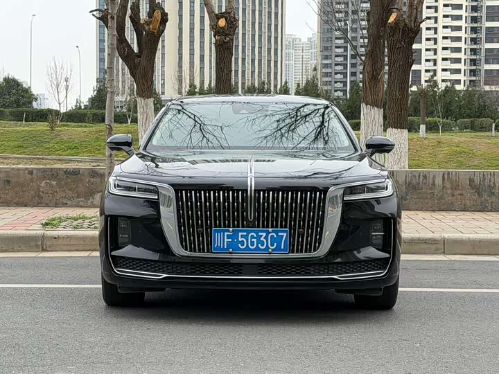 Фото 2 - Hongqi H9