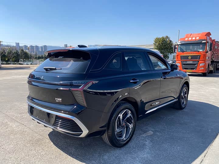 Photo 9 - Hongqi HS3